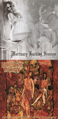 Mortuary Hacking Session / Gruesome Malady - Torturing Your Ghost / Frenzied Evisceration of Viscous Excrescence split CD