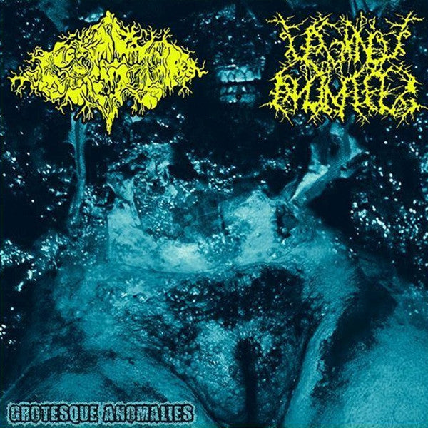 Vaginal Anomalies / Pigto - Grotesque Anomalies split CD