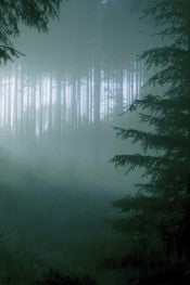 Thy Serpent - Forests of Witchery CASSETTE