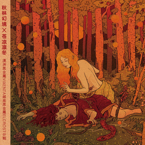 Vixenta / Elcrost - S/T SPLIT CD