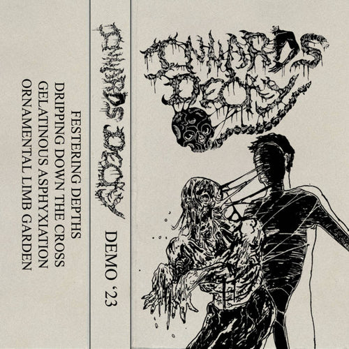 Innards Decay - Demo '23 Cassette