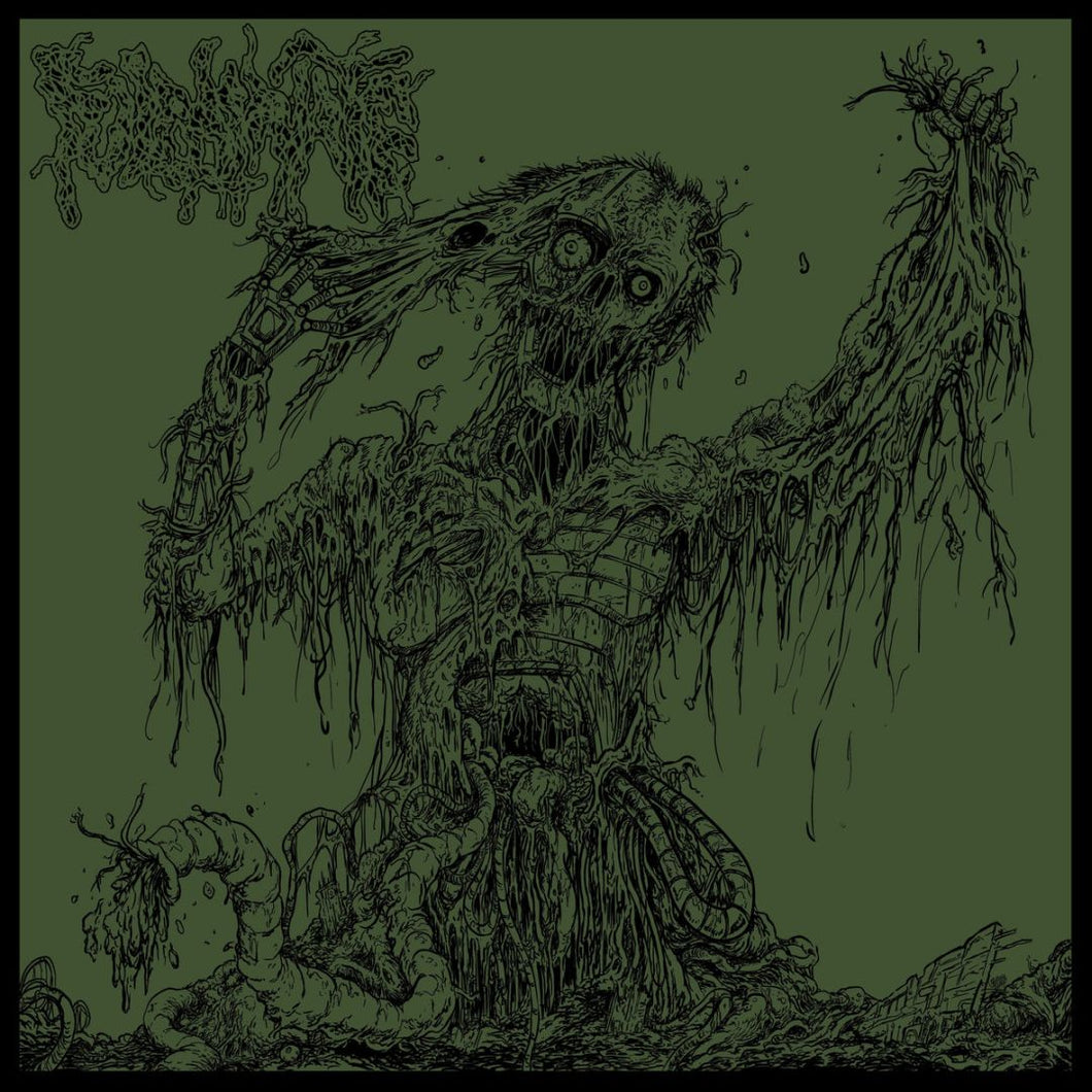 Fulminate - Agony Resonates Pleasantly CD