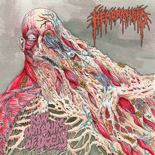 Hemorrhoid - Raw Materials of Decay CD