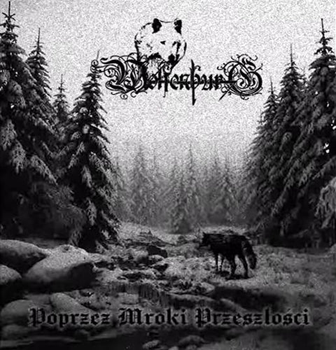 Wolfenburg - Poprzez mroki przeszłości CD