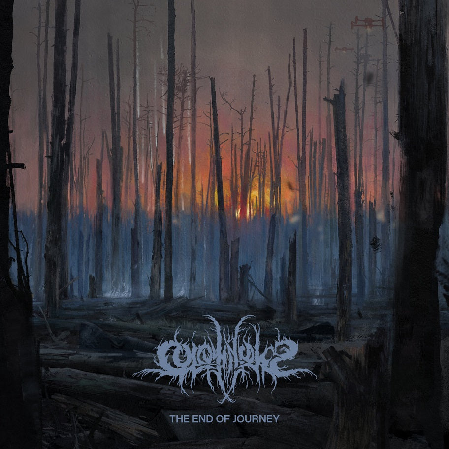Colotyphus - The End of Journey DIGI CD