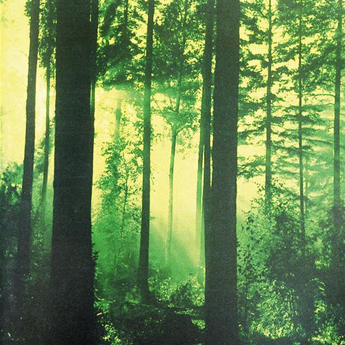Thy Serpent - Forests of Witchery GATEFOLD LP