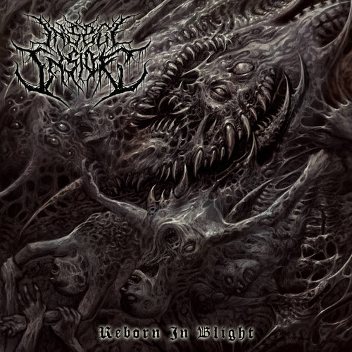 Insect Inside - Reborn in Blight CD