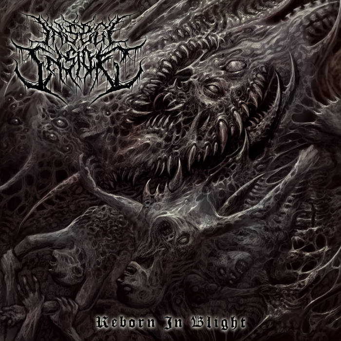 Insect Inside - Reborn in Blight CD