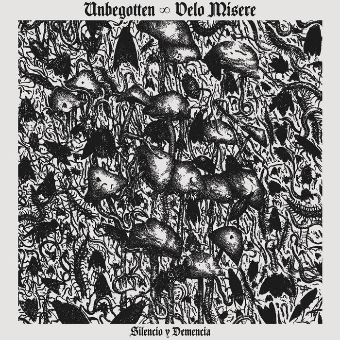Unbegotten / Velo Misere - Silencio y demencia SPLIT DIGI CD