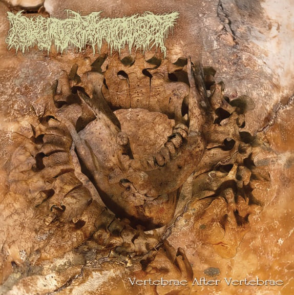 Pharmacist - Vertebrae After Vertebrae CD