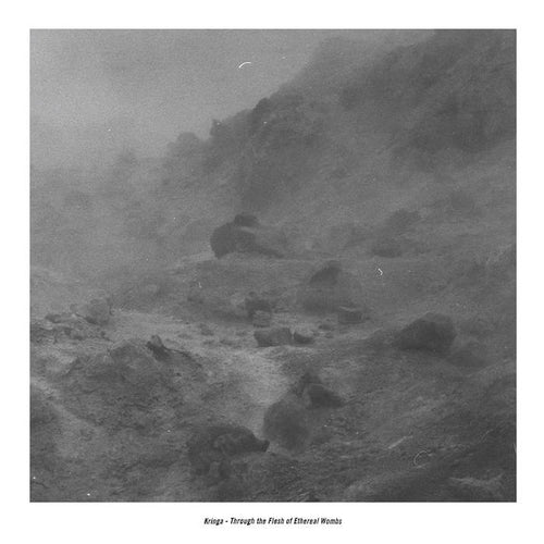 Kringa - Through the Flesh of Ethereal Wombs 10