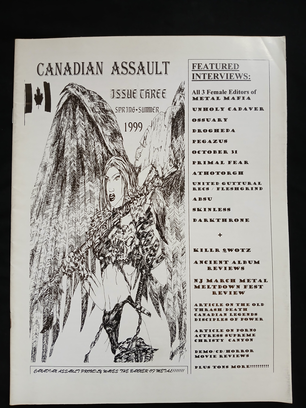 Canadian Assault - Issue #3