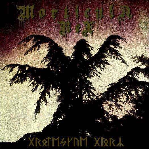 Morticula Rex - Grotesque Glory CD