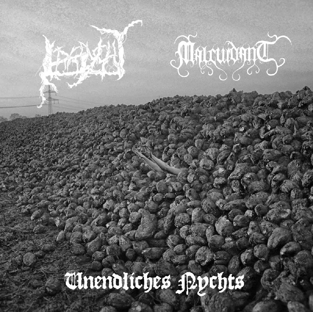 Irrlycht / Malcuidant - Unendliches Nychts split CD