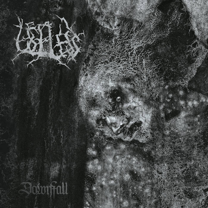 Useless - Downfall CD