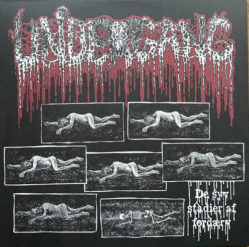 Undergang - De Syn Stadier Af Fordaerv CASSETTE