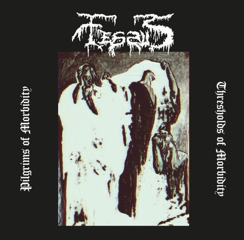 Fessus - Pilgrims of Morbidity CD