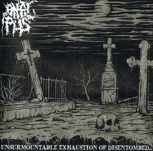 Anal Pus - Unsurmountable Exhaustion of Disentombed CD