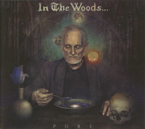 In The Woods - Pure CD
