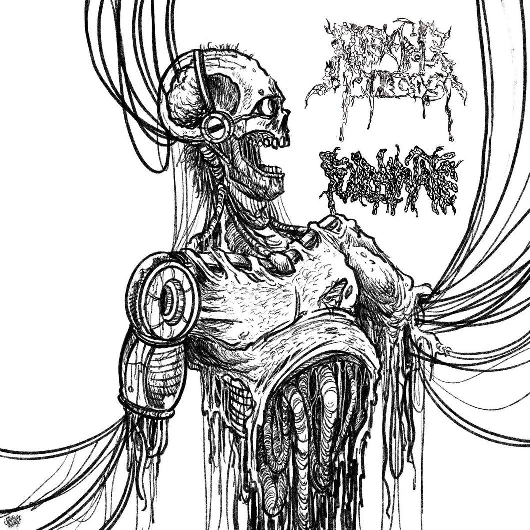 Fulminate / Reeking Pieces - S/T SPLIT CD