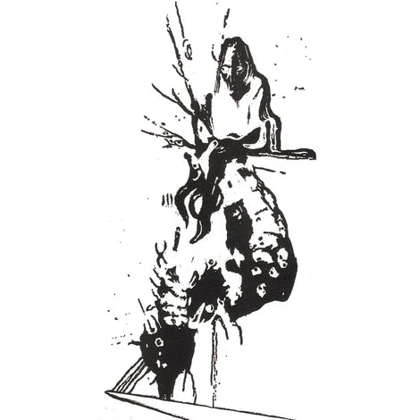 Bilirubin - S/T LP