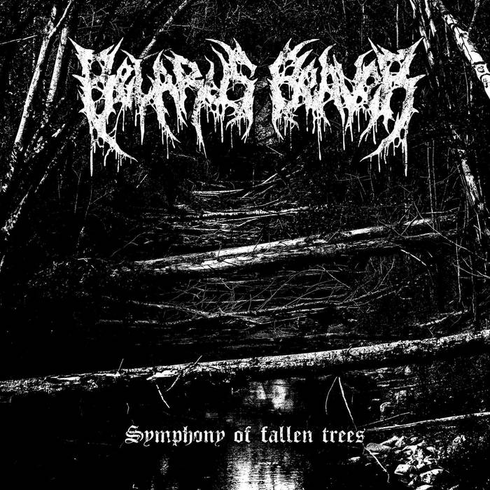 Belarus Beaver - Symphony of Fallen Trees CD