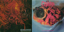 Cadaver / Carnage - Dark Recollections / Hallucinating Anxiety split CD