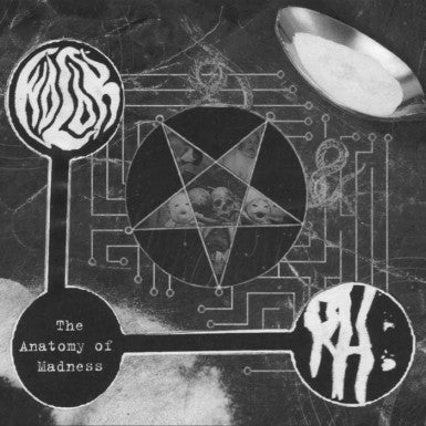 Wolok / Rotting Heaven - The Anatomy of Madness split DIGI CD