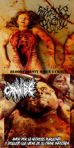 Sadistic Lingam Cult / Cannibe - Bloodthirsty When I Crave / Amor por la necrosis purulenta y disgusto que viene de su carne infectada split CD