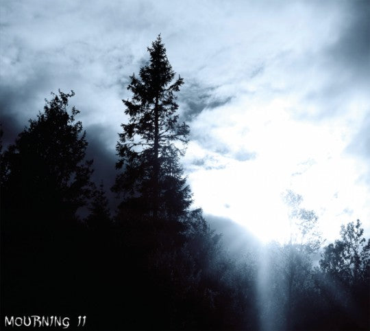 Lost in Desolation - Mourning II DIGI CD
