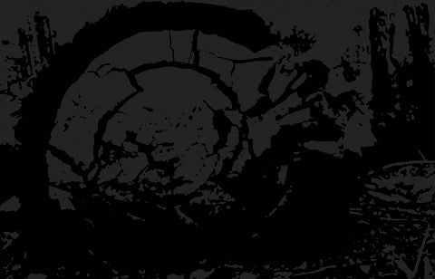 Death Vanish / Misanthropos - S/T split Cassette