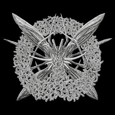 Mallephyr - Womb of Worms CD