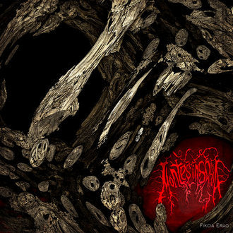 Montes Insania - Fikcia Erao CD