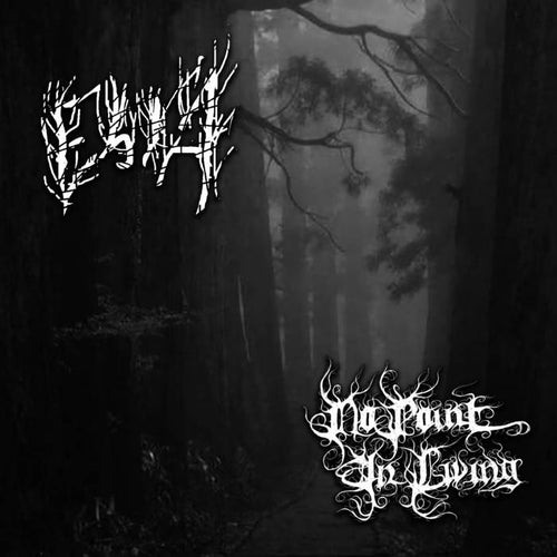 Ebola[JAPAN] / No Point in Living - Regions of Depression split CD