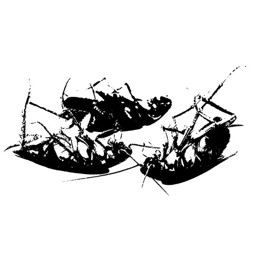 Blattaria - Dream, Dwell, Die CD