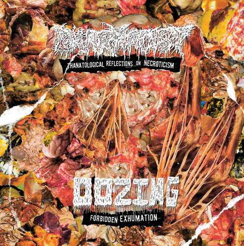 Oozing / Pharmacist - Forbidden Exhumation / Thanatological Reflections on Necroticism split CD
