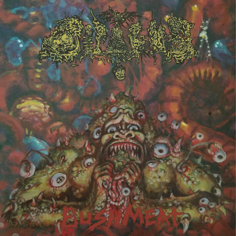 Dipygus - Bushmeat CD