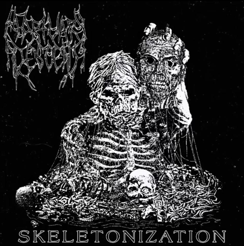 Mortuary Descent - Skeletonization DEMO CD