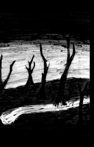 Torresian Call / Welldweller - S/T split Cassette