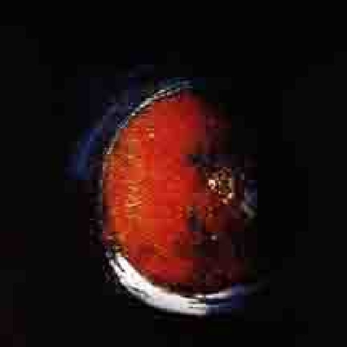 Nuclear Death - The Planet Cachexial CD