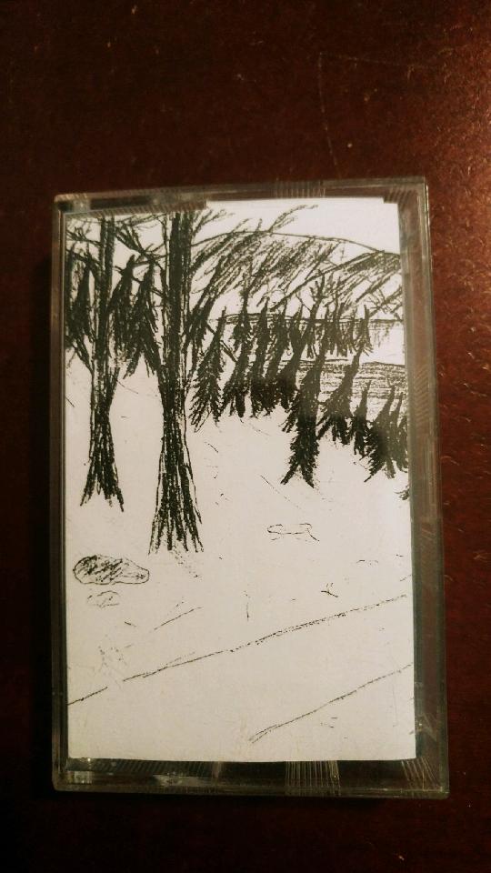 Lebensessenz - Wenn Der Wald Zum Traum Wird Cassette
